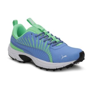 Men Blue & Green Cricket Square Shoes
